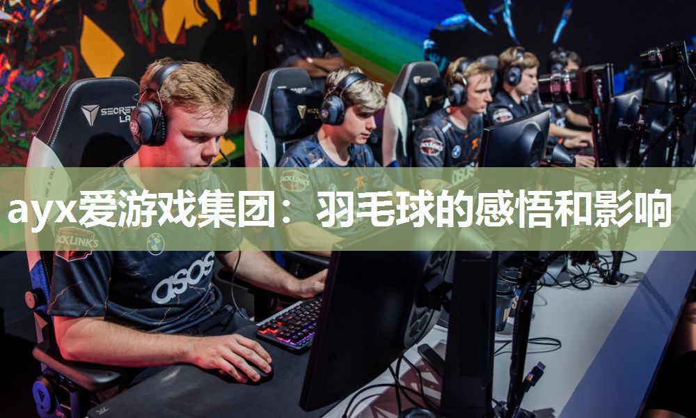 羽毛球的感悟和影响 羽毛球的感悟和影响